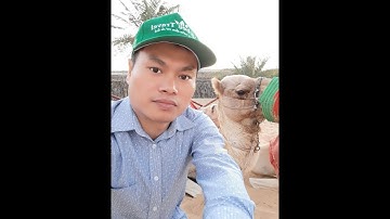 Trải nghiệm cưỡi lac đà trên sa mạc dubai