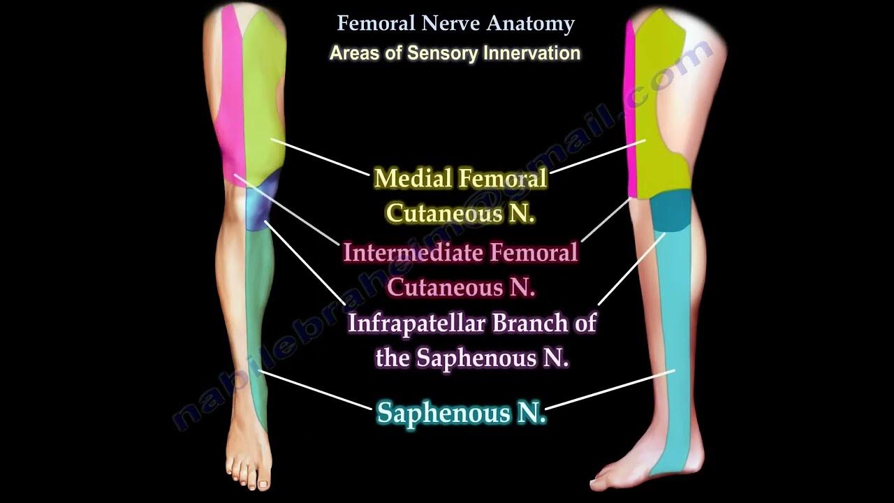 Cpt Code For Lateral Femoral Cutaneous Nerve