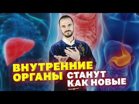 Кишечник, желудок, печень, поджелудочная железа! Как наладить работу органов? Упражнения цигун