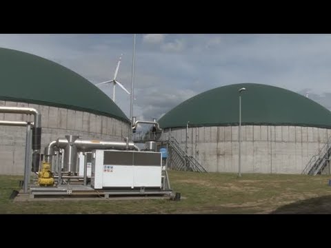 Wideo: Ile energii zużywa się w rolnictwie?