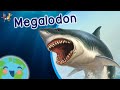 Exploring the Megalodon