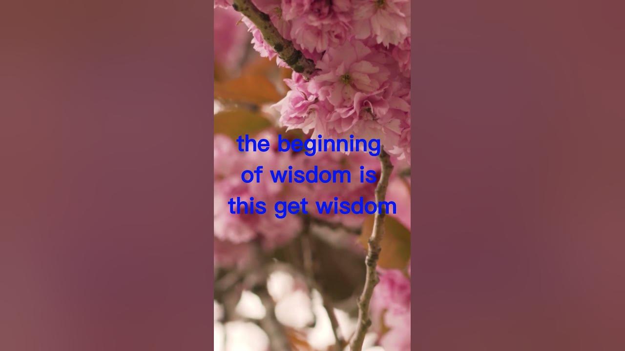 proverbs-4-5-9-get-wisdom-at-any-cost-youtube