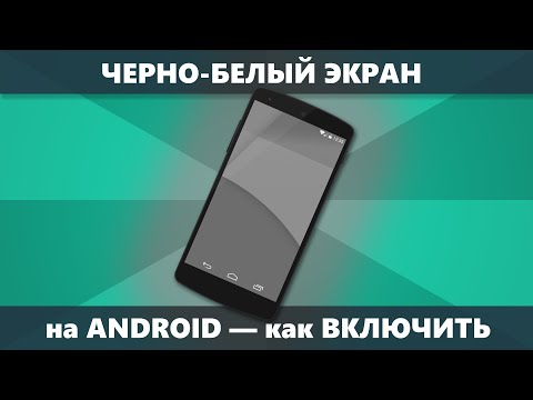 Как включить черно белый экран на Android телефоне (монохромный режим)