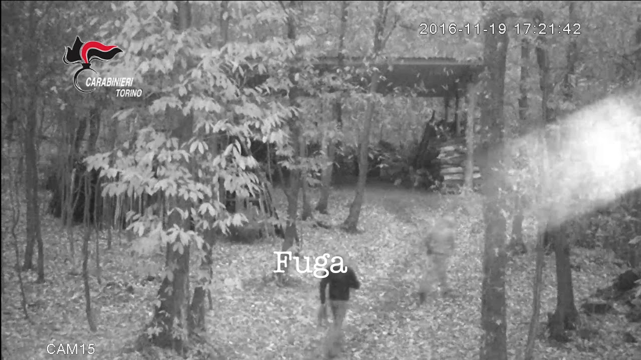 Le immagini dei ladri in azione in una villetta