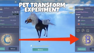 Transforming pet from C to B grade - CHIMERALAND experiment