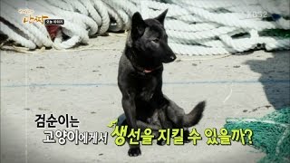 150310 단짝 예고 ㅣ KBS방송