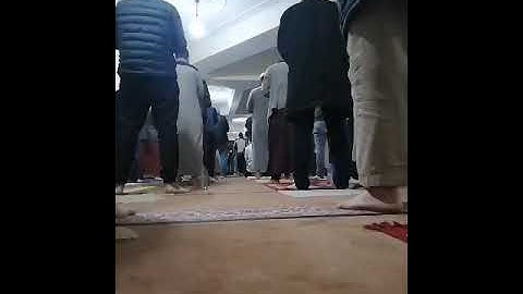 تلاوة خاشعة من همام يوسف طير.