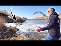 I CAN&#39;T BELIEVE What Was Living In This WARM WATER SPILLWAY!!! (Winter Creek Fishing)
