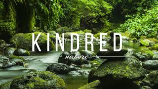 Forest River Flowing sound | Relaxing Forest sound 🔊|KindRed Nature|