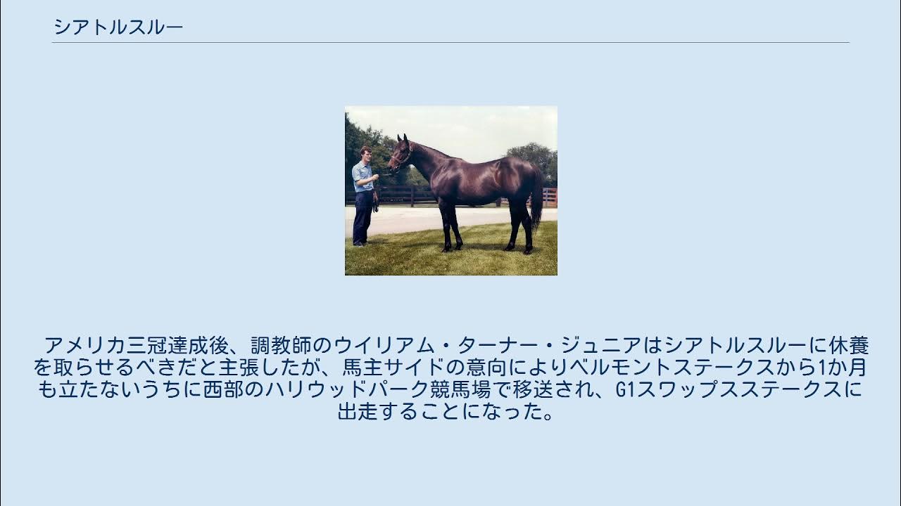 シアトルスルー YouTube