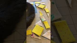 English Paper Piecing (EPP) How To Cut, Baste & Sew Your Pieces Epp Thread Basting 3 Different Ways