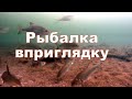 Рыбалка вприглядку