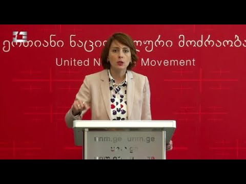 სიჩუმის ყოველი დღე სახელმწიფოს მხრიდან შეიძლება იყოს საბედისწერო - ხატია დეკანოიძის ბრიფინგი
