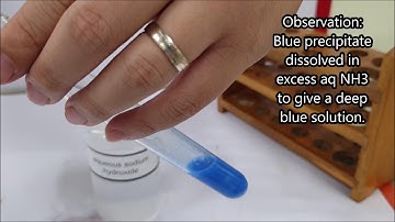 QA Lab Practical - Test for Cations - Copper(II) ion, Cu2+ with aqueous ammonia (NH3)