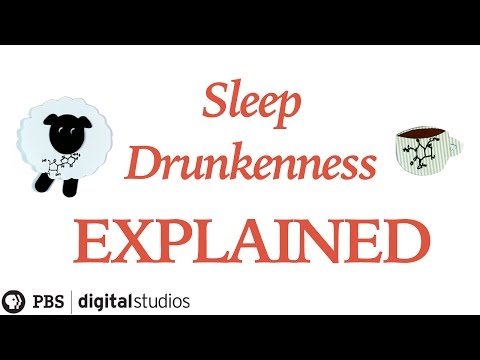 Sleep Drunkenness Explained