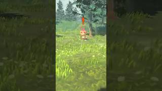Shiny Alpha Chimchar 169366 Shiny Everyday