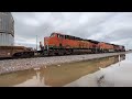 Canadian pacific leader 8133 and CDTX 2104