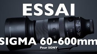 Essai - Sigma 60 600mm Sports / Sony