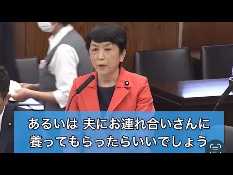 2023/11/15参院特別委【会計年度任用職員制度⑤】この制度のもう一つの問題はジェンダー、女性差別。女は安く短期で使い捨てる、その意識と処遇を改善することが引いては公共サービスと地方の再生に繋がる @FukushimaMizuho