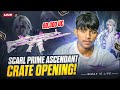 ScarL Prime Ascendent & Wmax Live on BGMI ๐ฎ