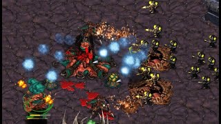 EPIC BEST OF FIVE! RoyaL  (T) vs Queen  (Z)  StarCraft  Brood War REMASTERED