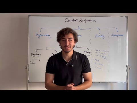 Cellular Adaptation | General Pathology شرح - YouTube