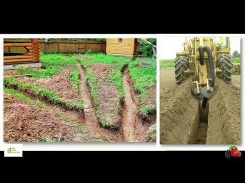 გაკვეთილი #4 - ნიადაგის მომზადება ბაღის გასაშენებლად
