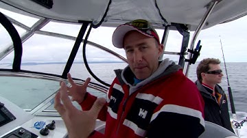 Apollo Bay tuna Simrad tip