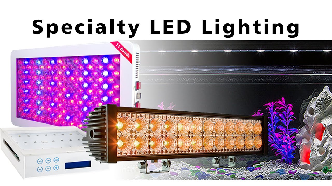 Specialty LED Lighting YouTube