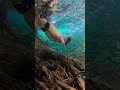 adventure shorts videos netural views #travel #minivlog #shorts