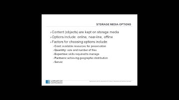 The Role of Long-Term Storage in Digital Curation