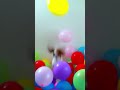 3000 Globos 🎈 Sorprendo a mi Perrita Naela | 🎁 Regalo de sus Sueños | Palomitas Flow