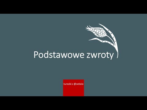 Wideo: Stolica Republiki Tuwy. Rząd Republiki Tuwy