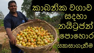 කාබනික වගාව සදහා නයිට්‍රජන් පොහොර Nitrogen fertilizers for organic farming Organic gardening wagawa