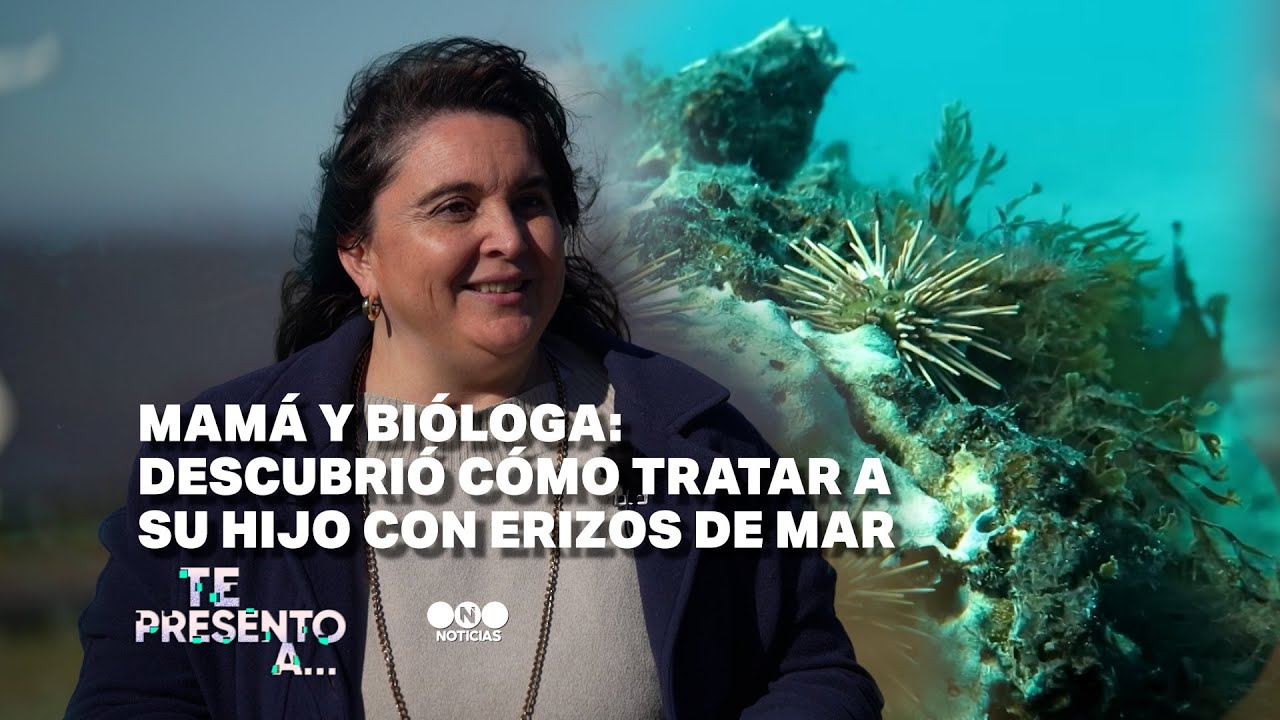 Mamá y bióloga: descubrió cómo tratar a su hijo con erizos de mar - Telefe Noticias