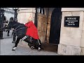 Kings guard horse slips falls guard stays mounted #horseguardsparade