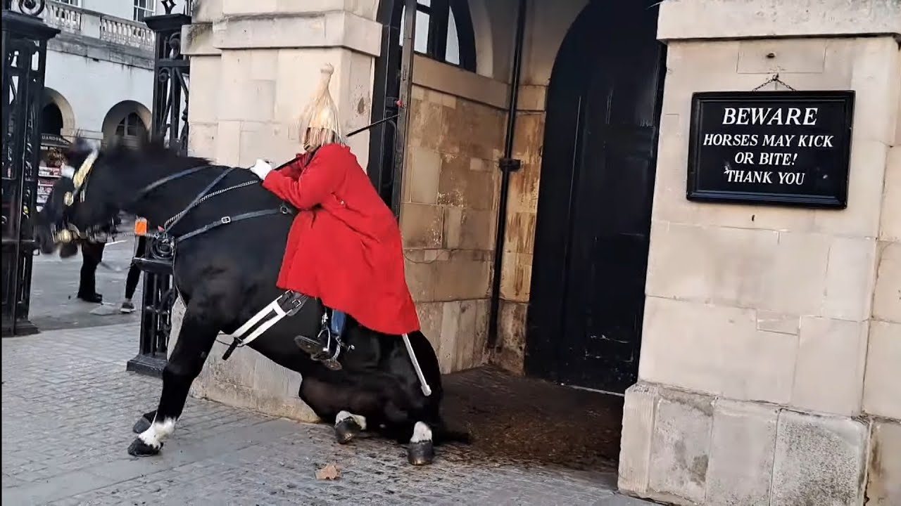 Kings guard horse slips falls guard stays mounted  horseguardsparade