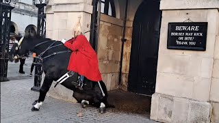 Kings guard horse slips falls guard stays mounted #horseguardsparade screenshot 4