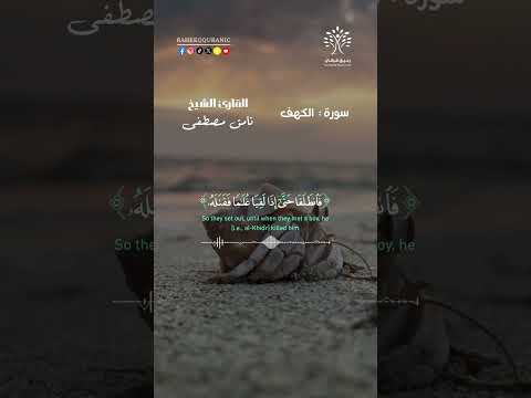 قال ألم أقل لك إنك لن تستطيع معي صبرا درس في الصبر والتعلم من الحكمة