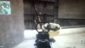 COD MW3 - MK14 Beasting