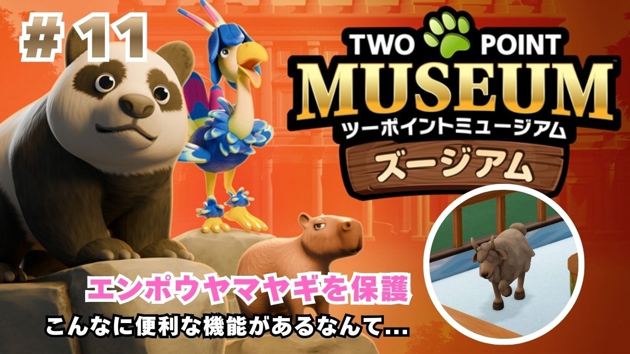 #11 新DLC「ズージアム」動物を治療して野生に帰すミュージアム作り【PS5版】