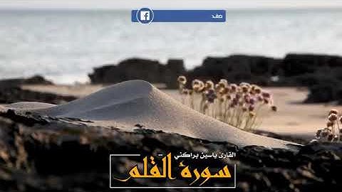 تلاوة من سورة القلم للقارئ ياسين براكني