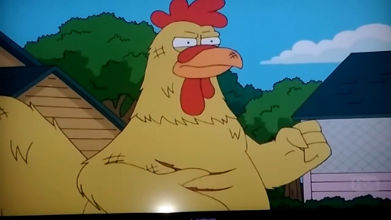 family guy, chicken fight, peter and chicken fight.