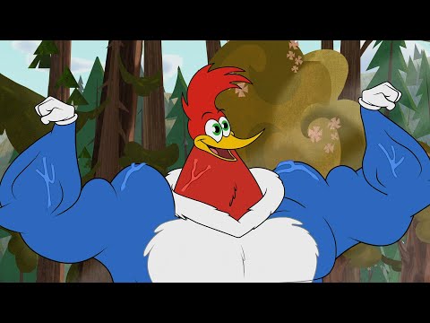 Pica-Pau em Português