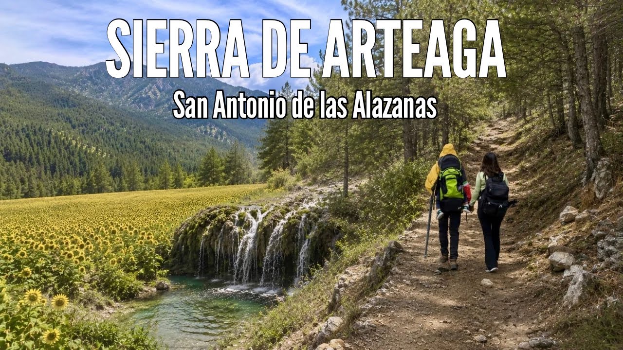 Un Viaje al Corazón de la Sierra de Arteaga Coahuila | San Antonio de las Alazanas