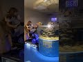 ヤバすぎる【姉がアホすぎて辛い】