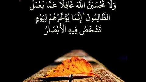 ما تيسر من سوره ابراهيم للقارئ محمد حميد ❤❤