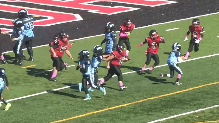 Washington vs Elizabeth Forward - Division 3 - Oct...