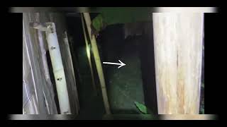 Billy Hunting Na Thlam Kha Fake Ani Reng Em? Thil Hre Chianglo Hian Kan Rinthu Hi Kan Sawi Em?