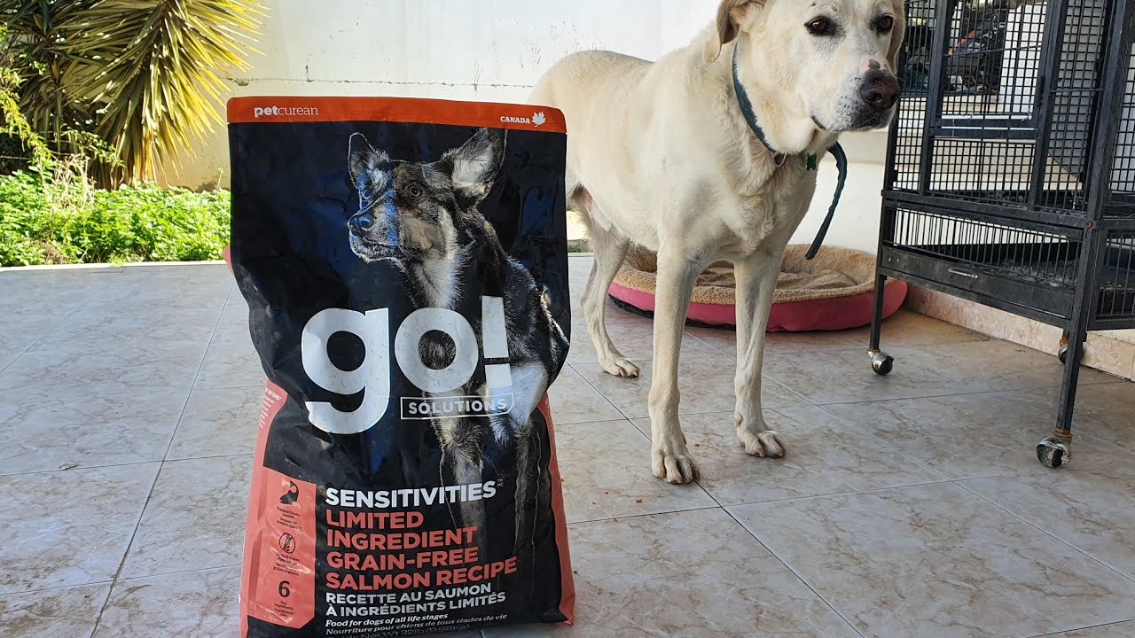 go SENSITIVITIES LIMITED INGREDIENT GRAIN-FREE SALMON RECIPE Food For dog all life stages